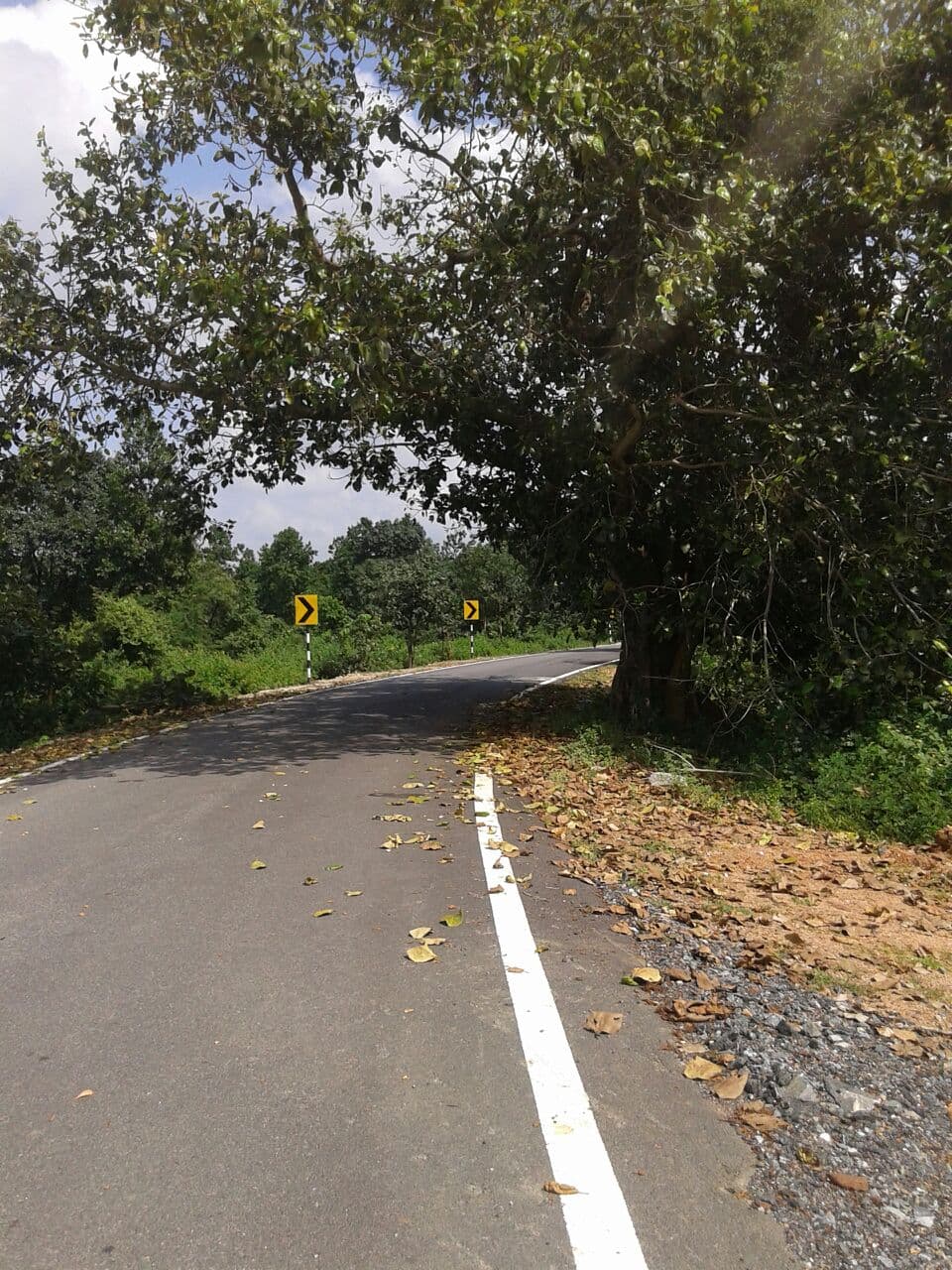 Forest road through Churchu, Hazaribagh